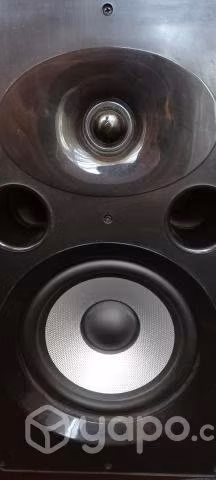 Monitores Alessis Elevate 6 Parlantes Monitor
