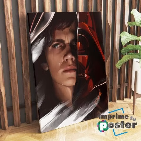 CUADROS DE DARTH VADER STARWARS 40 x 55cm