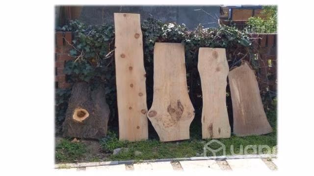 Rustico medio tronco algarrobo cipres dsd 45 mil