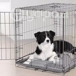 Jaula Dogit Mediana
