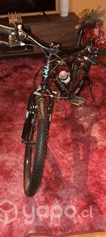 Bicicleta oxford
