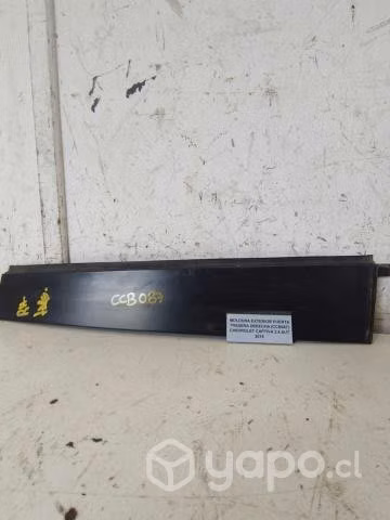 Moldura Exterior Puerta Trasera Derecha (CCB087)