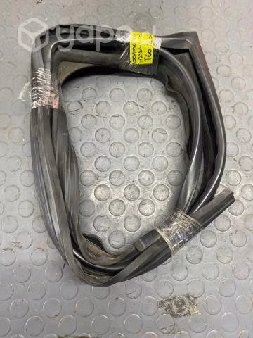 Goma contorno vidrio puerta trasera derecha Maxus