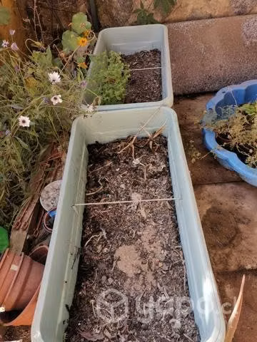 Pack de Jardineras plásticas huerto urbano