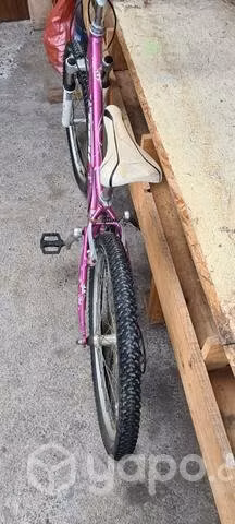 Trek aro 24