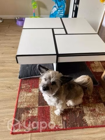 Mueble para TV y Mesa Centro - Imagen 3