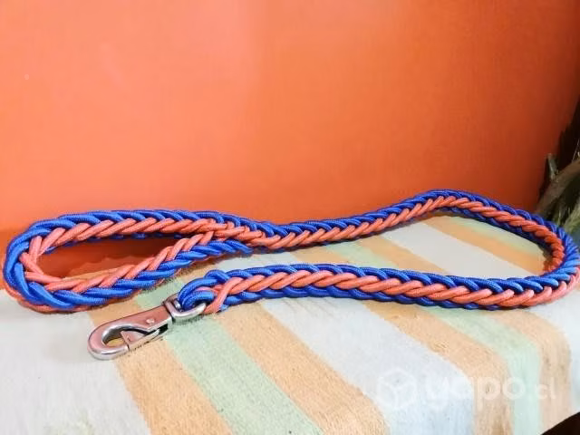 Correa para perros
