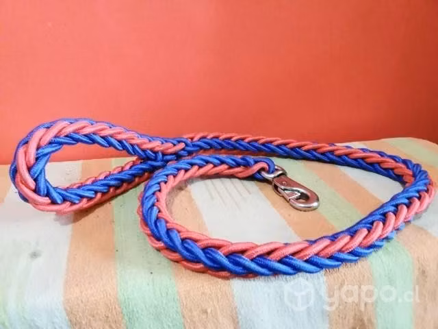 Correa para perros