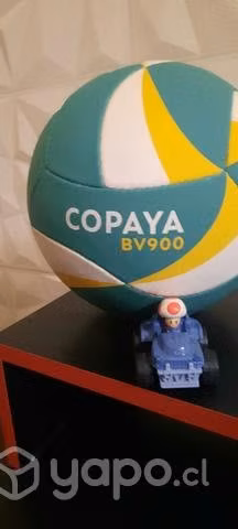 Balon de Volleyball arena