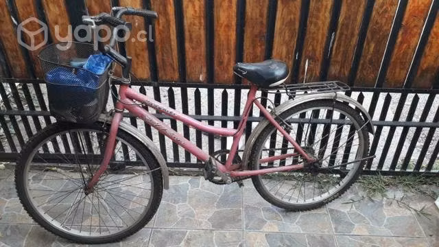 Bicicleta paseo aro 26 mujer