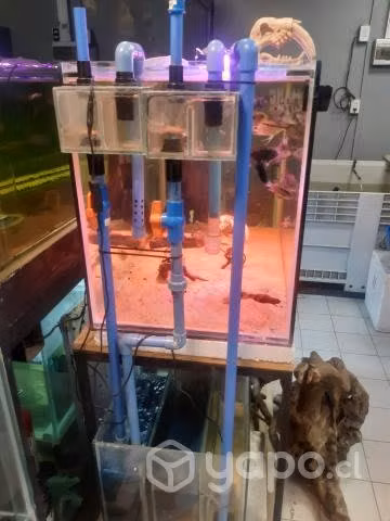 Acuario 330 ltrs