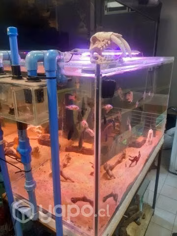 Acuario 330 ltrs