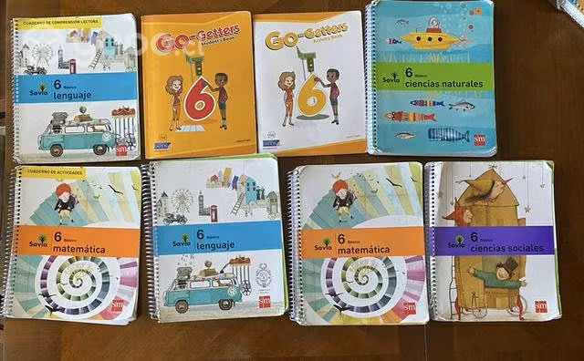 Libros 6to básico