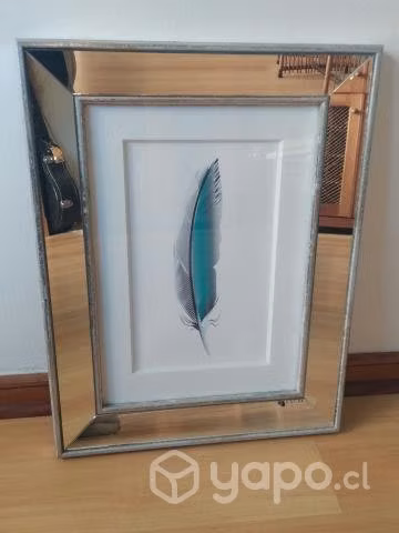 Cuadro pluma marco espejo - NUEVO