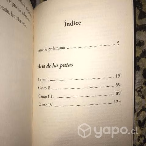 Arte de las putas