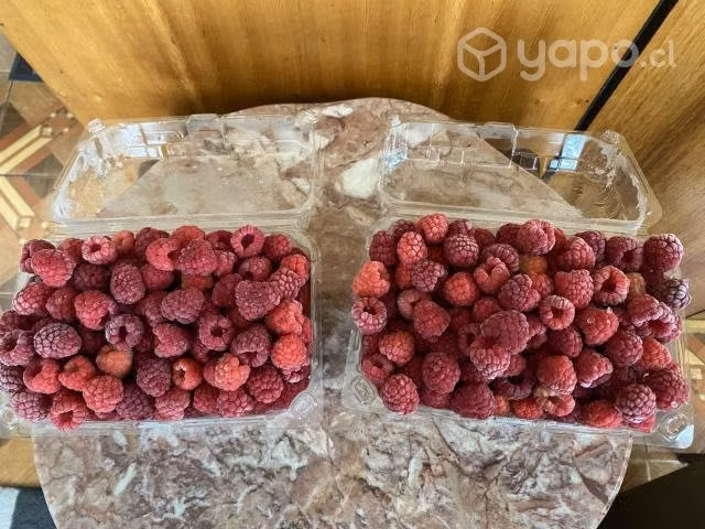 Frambuesas de la temporada