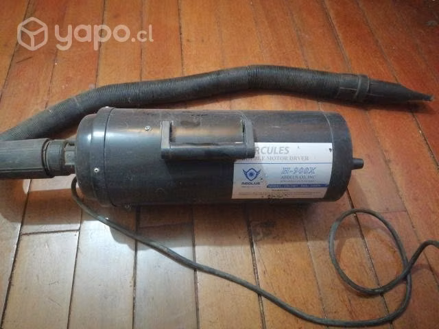 Turbo secador para peluqueria canina