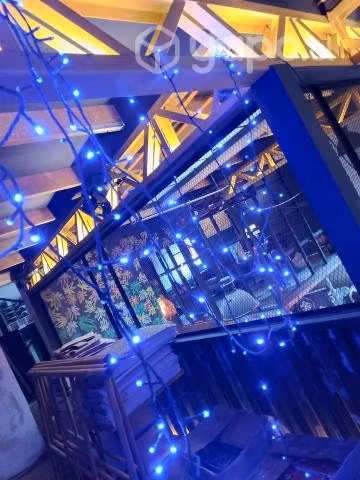 Luces de navidad
