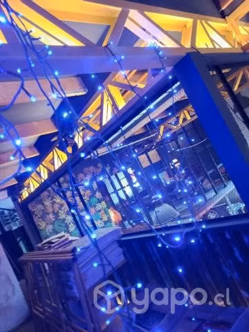 Luces de navidad