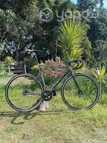 Bicicleta Piñon Fijo