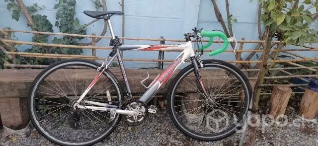 Bicicleta Bianchi - Imagen 2