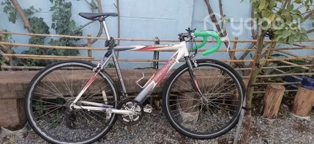 Bicicleta Bianchi - Imagen 3