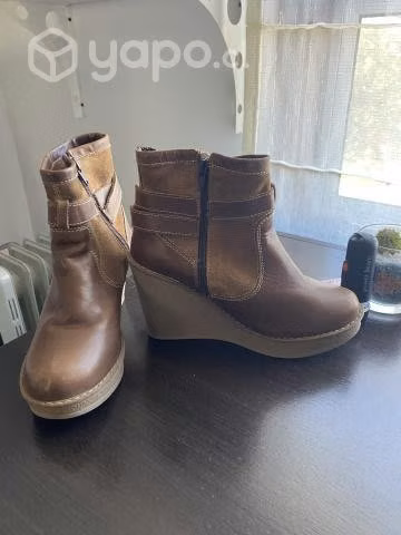 Botines apology