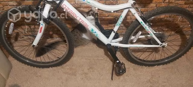 Bicicleta Aro 24 - Imagen 3