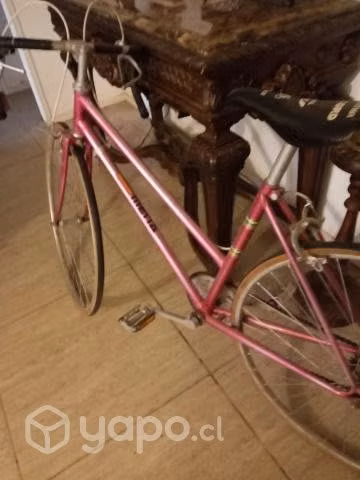 Bicicleta pistera