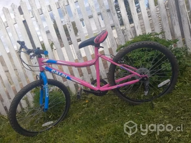 Bicicleta para niña Aro 24