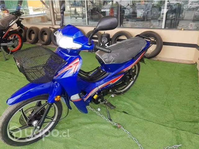 Sport Power 110cc