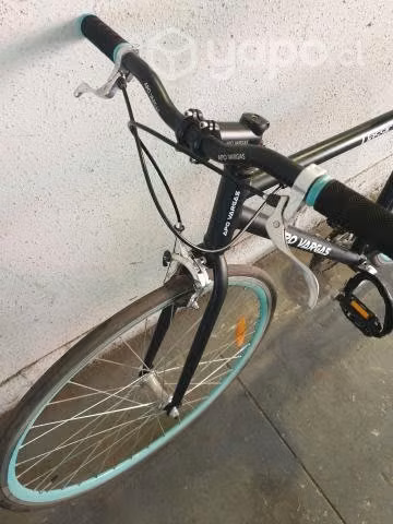 Bicicleta Pistera single speed flip flop
