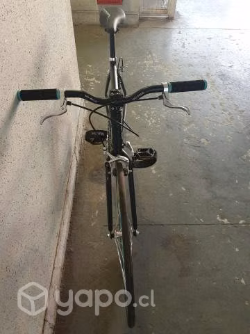 Bicicleta Pistera single speed flip flop