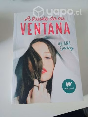 A través de mí ventana