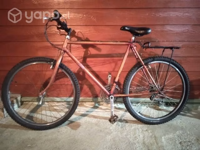 Bicicleta