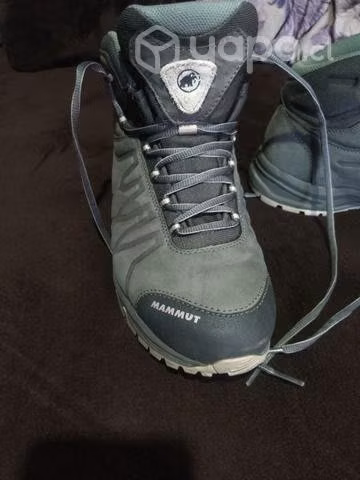 Mammut impecables