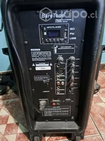 Parlante baretone max 12