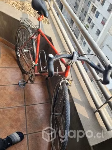 Bicicleta Vintage