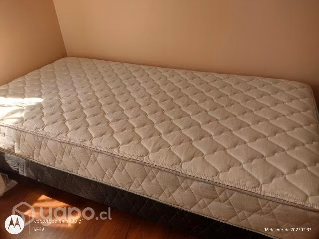 Cama rosen de 1 plaza modelo ergo T