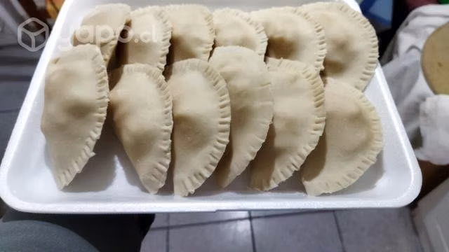 Empanadas para freír variedades