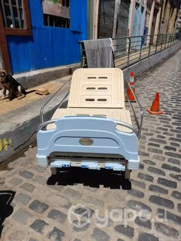 catres clinicos en valparaiso - Imagen 2
