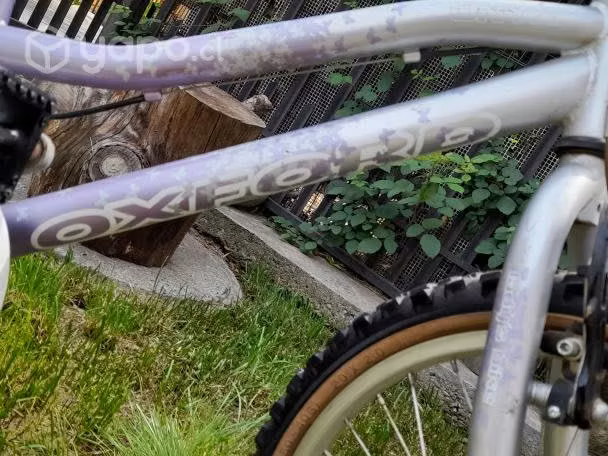 Bicicleta oxford ari 20