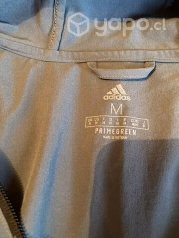 Camisetas y corta viento