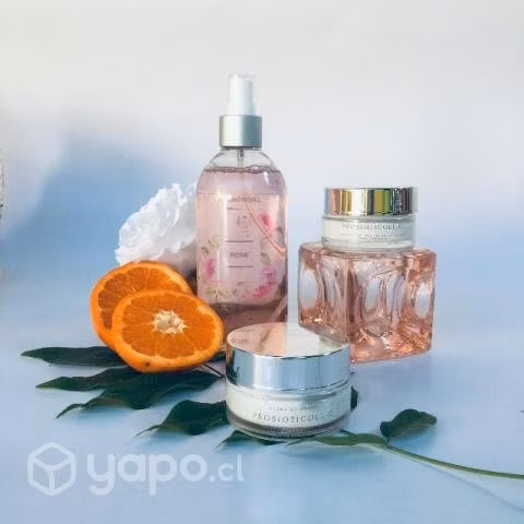 Vendó cava de vinos - Imagen 6