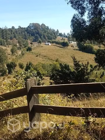 Lago ranco valdivia - Imagen 3
