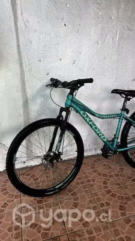 Bicicleta Oxford Venus 1 - Imagen 2