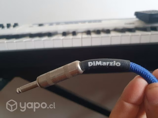 set profesional privia Px-5s más accesprios