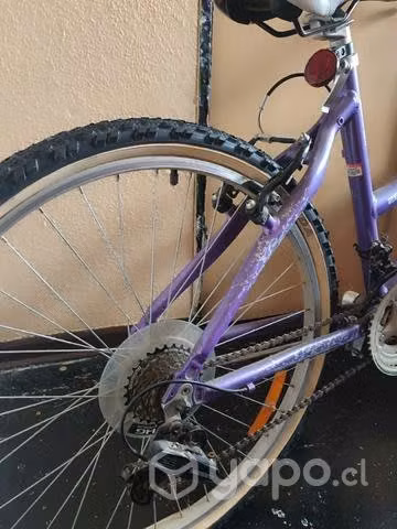 Bicicleta Oxford aro 20