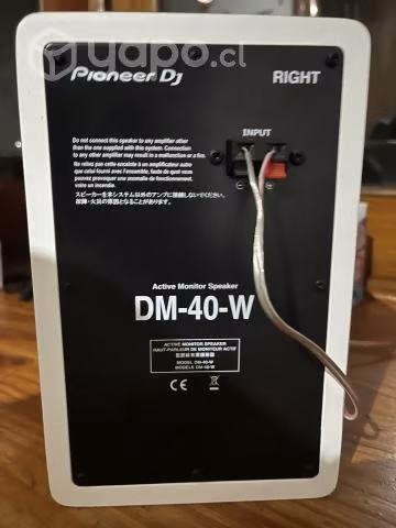 Parlantes Pioneer Dj DM 40