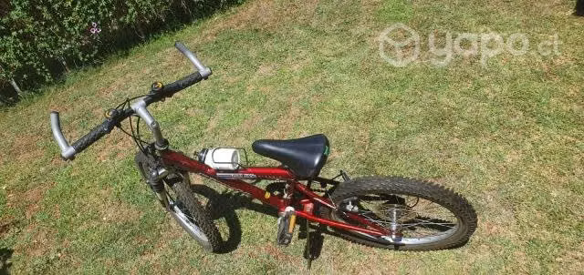 Bicicleta Bianchi Aro 20, doble cambio - Imagen 2